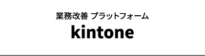 業務改善 プラットフォーム kintone