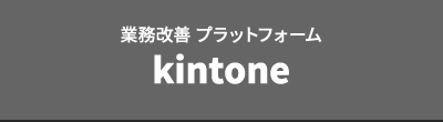 業務改善 プラットフォーム kintone
